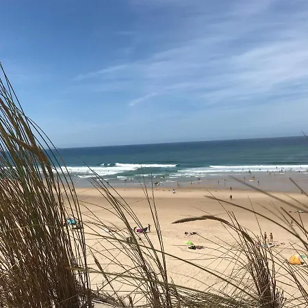 Aloha
